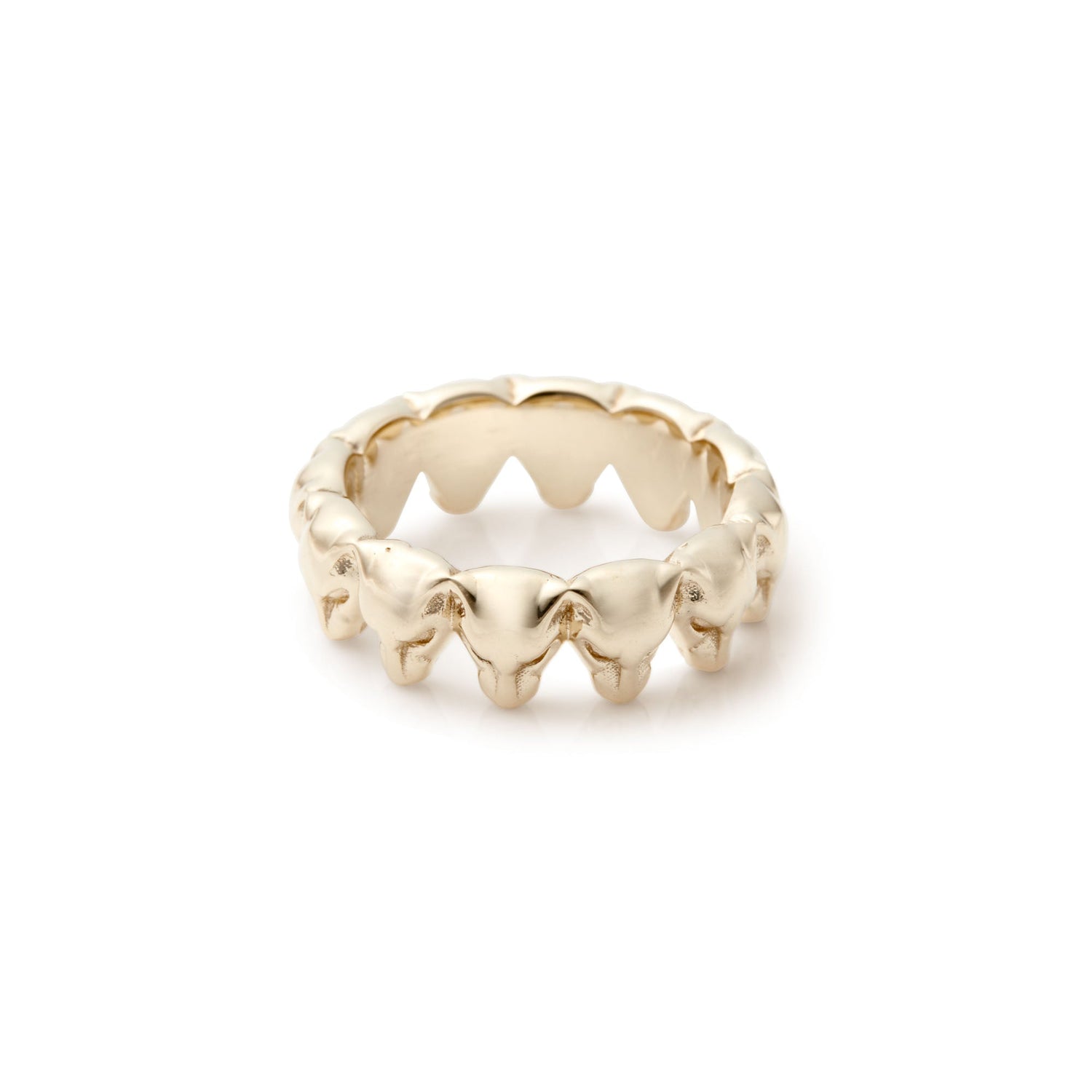 Lioness Collection - J.Tyler