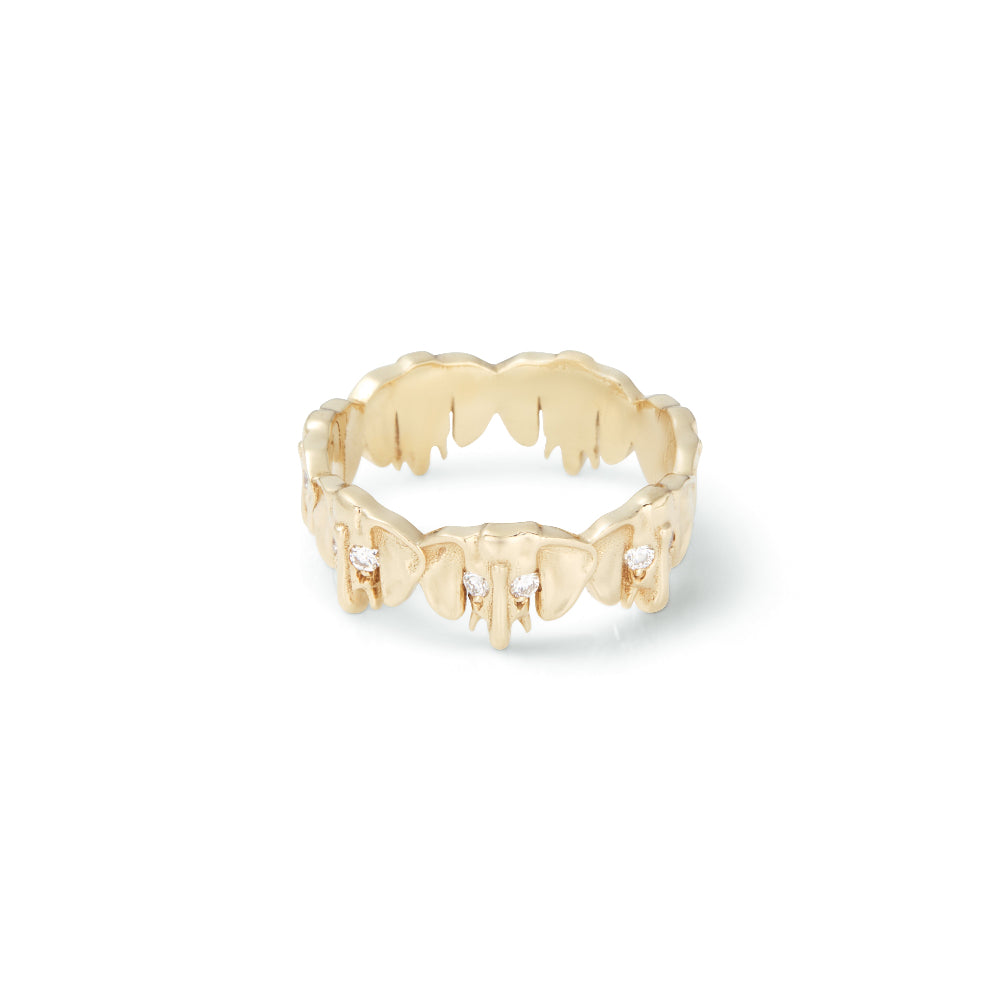 Elephant Eternity Band
