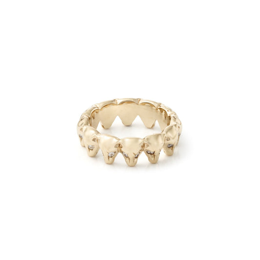 Lioness Ring - J.Tyler